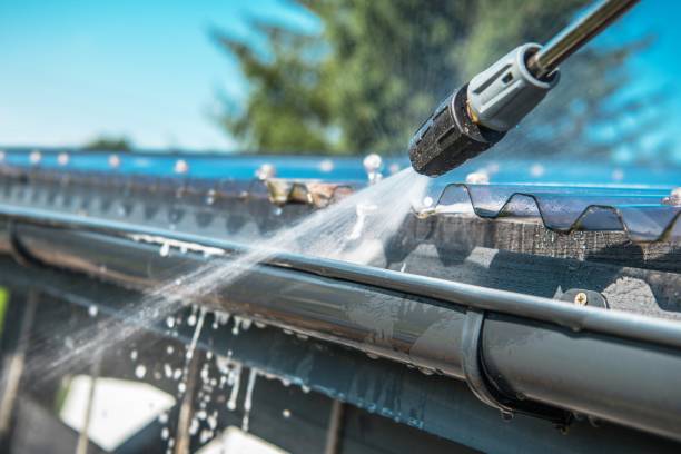 Best Residential Pressure Washing Services  in Madelia, MN