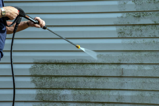 Best Deck Pressure Washing  in Madelia, MN