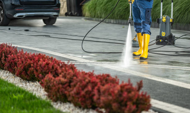 Best Commercial Building Pressure Washing  in Madelia, MN