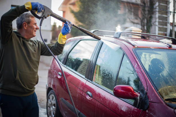 Best Roof Pressure Washing  in Madelia, MN