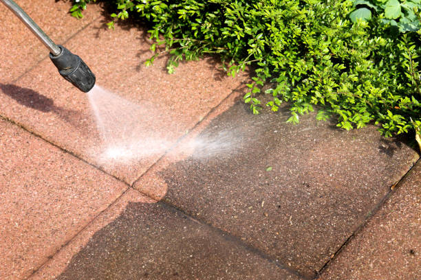 Best Exterior Home Cleaning  in Madelia, MN